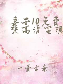 妻子10免费完整高清电视剧看