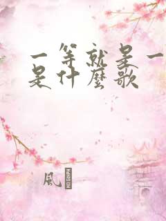 一等就是一年多是什么歌