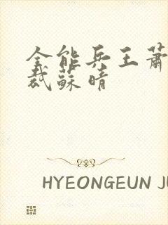 全能兵王萧晨总裁苏晴