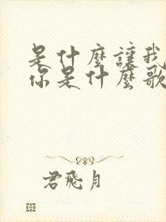 是什么让我爱上你是什么歌