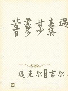 苦尽甘来遇见你有多少集