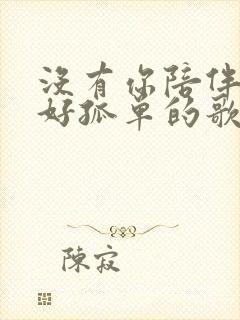 没有你陪伴真的好孤单的歌词