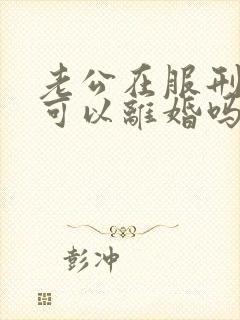 老公在服刑期间可以离婚吗