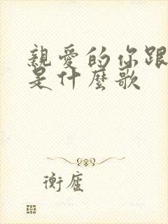 亲爱的你跟我飞是什么歌