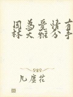 因为爱情有奇迹林天雅分手