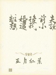 离婚后前夫总是想追我小说全文免费阅读