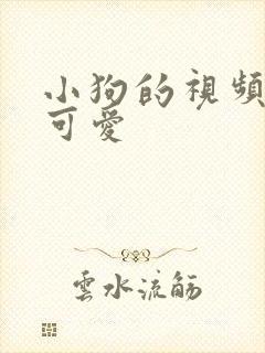 小狗的视频大全可爱