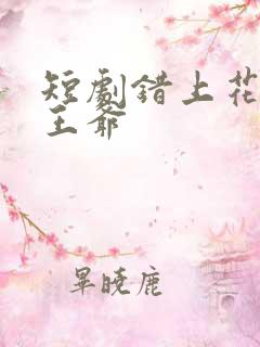 短剧错上花轿嫁王爷