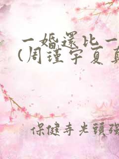 一婚还比一婚高(周瑾宇夏真钰)
