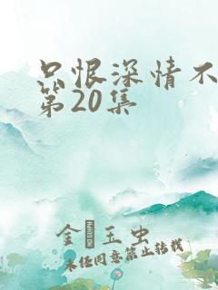 只恨深情不识鸢第20集