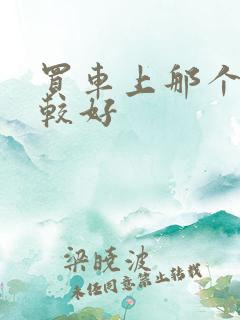 买车上那个网比较好