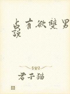 占有欲双男主小说