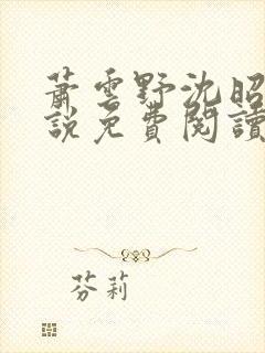 萧云野沈昭宁小说免费阅读最新章节