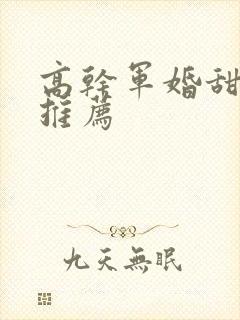 高干军婚甜宠文推荐