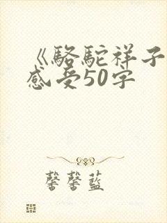 《骆驼祥子》的感受50字