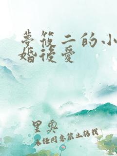 梦筱二的小说先婚后爱