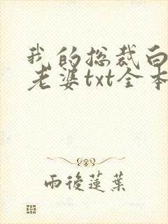 我的总裁白富美老婆txt全本小说