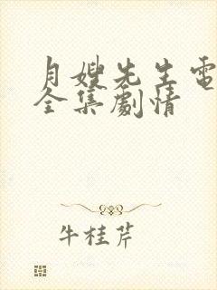 月嫂先生电视剧全集剧情