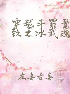 穿越斗罗觉醒极致之冰武魂的小说