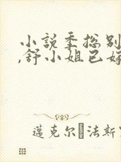 小说季总别虐了,舒小姐已嫁人阅读