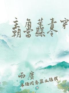 主角叶青穿越明朝当县令