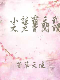 小说霸天武魂全文免费阅读