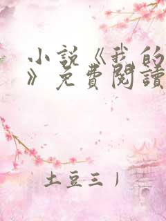 小说《我的荷姨》免费阅读