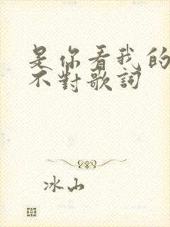 是你看我的方式不对歌词