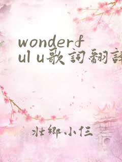 wonderful u歌词翻译中文