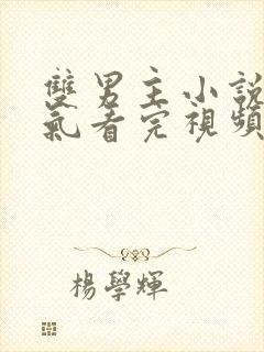 双男主小说一口气看完视频虐文