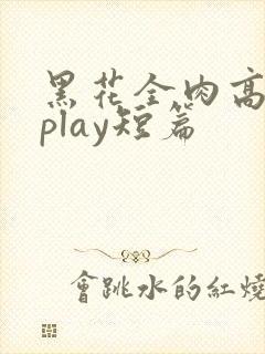 黑花全肉高h湿play短篇