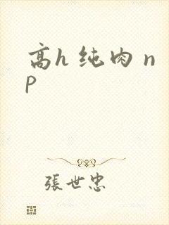 高h 纯肉 np