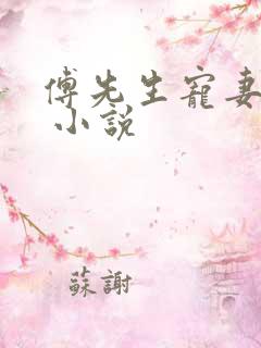 傅先生宠妻无度 小说