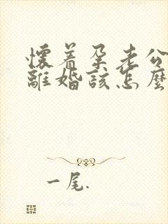 怀着孕老公提出离婚该怎么办