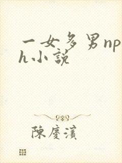 一女多男np高h小说