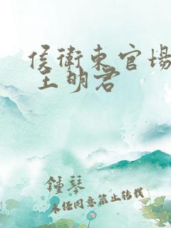 侯卫东官场笔记 王明君