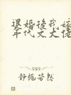 退婚后我嫁给了年代文大佬