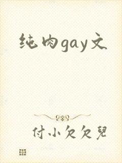 纯肉gay文