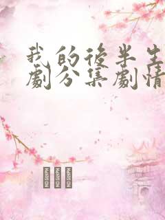 我的后半生电视剧分集剧情