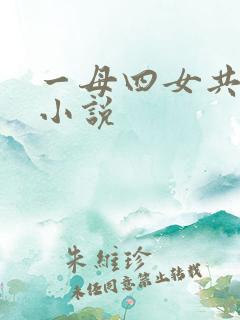 一母四女共一婿小说