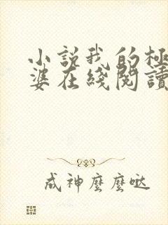 小说我的极品老婆在线阅读全文