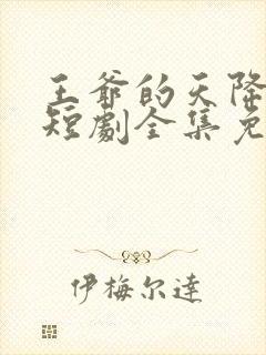 王爷的天降毒妃短剧全集免费