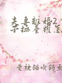 夫妻离婚2个孩子抚养权怎么判定