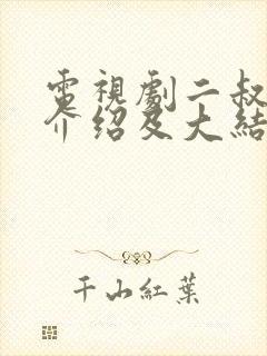 电视剧二叔剧情介绍及大结局