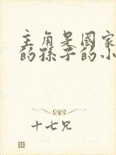 主角是国家首长的孙子的小说