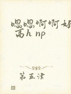 嗯嗯啊啊好爽啊 高h np