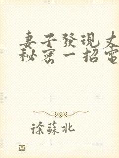 妻子发现丈夫的秘密一招电视剧