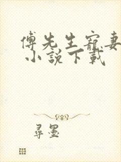 傅先生宠妻无度 小说下载