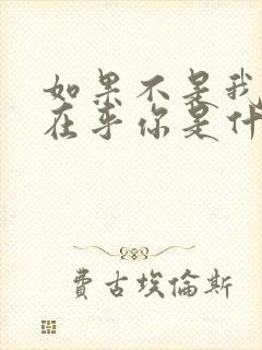 如果不是我那么在乎你是什么歌