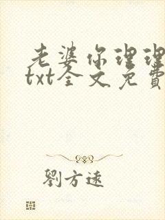 老婆你理理我啊txt全文免费阅读